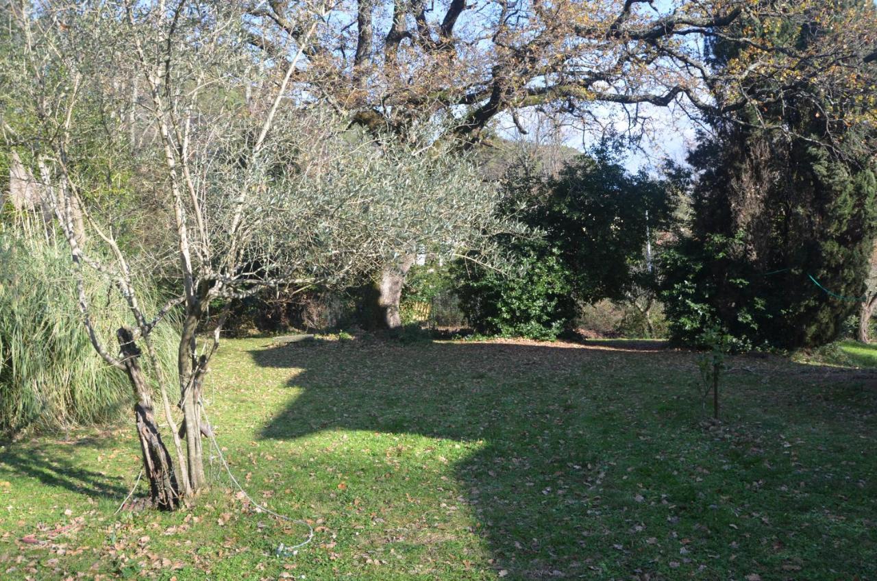 Il Giardino Secreto Apartamento Manziana Exterior foto